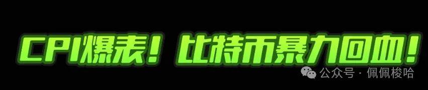 CPI爆表！比特币暴力回血！CZ自家“宠物狗”发meme，Bnb链上生态强势复苏！可以埋伏这四个币安链的动物 ！