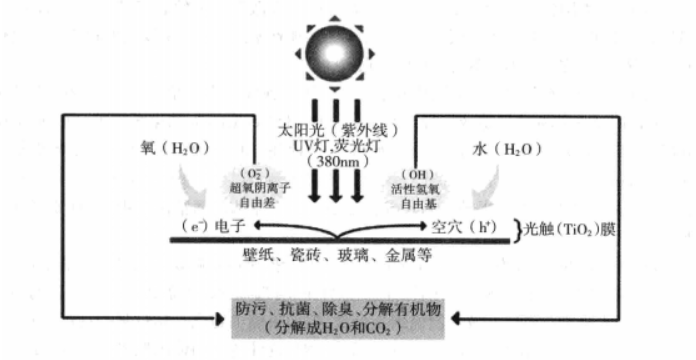 新房怎么去甲醛好?