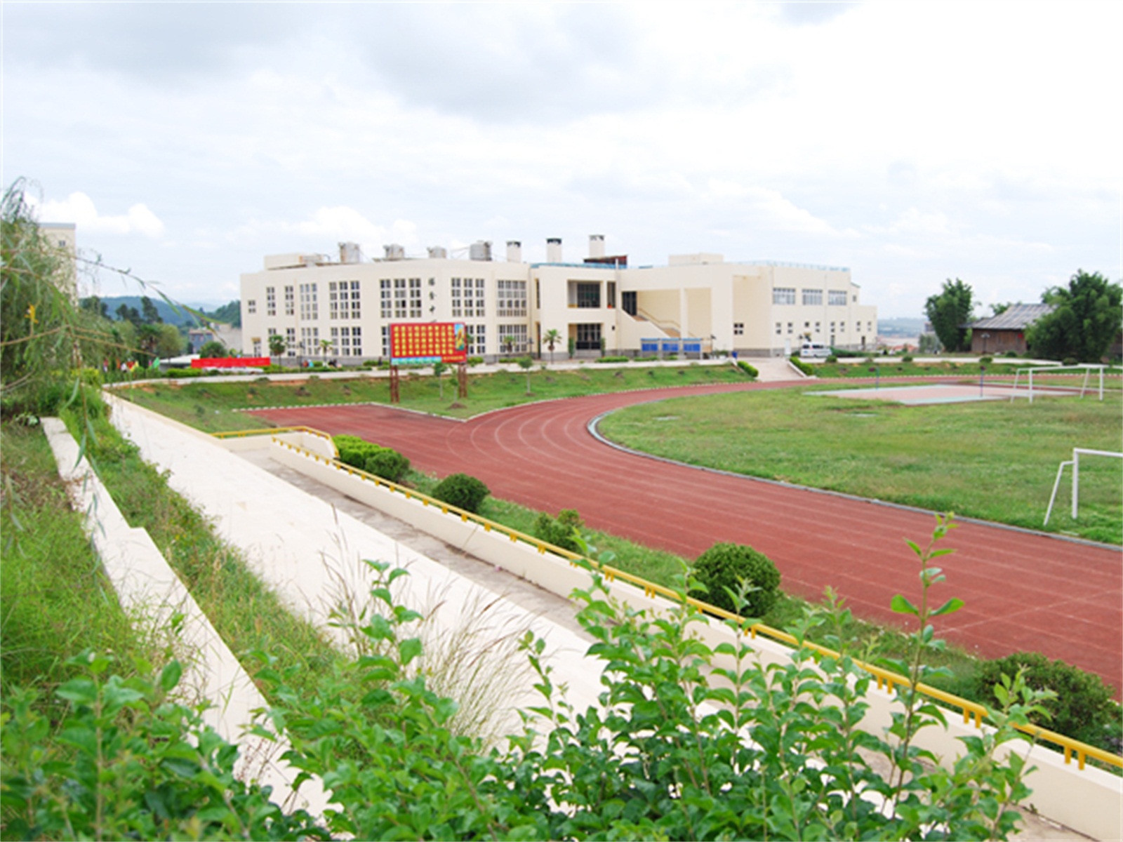 新手学院(新手怎样学)