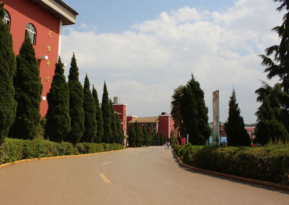 新手学院(新手怎样学)